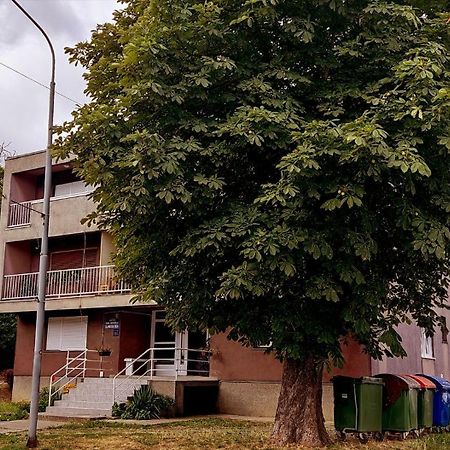 Tp Apartman 1 Križevci Exteriör bild